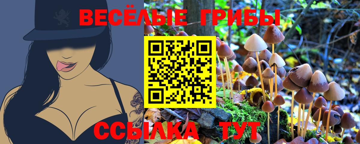 Псилоцибиновые грибы Magic Shrooms  Вход с VPN  Мариинск 